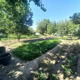 Satlyk jaý