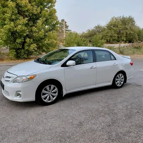 Toyota Corolla 2011