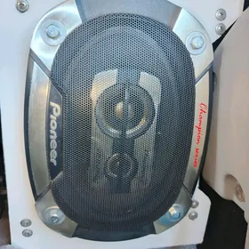 PİONEER 550 W