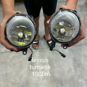 lexsus tumanyk