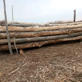 агач дерек