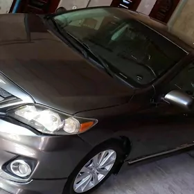 Toyota Corolla 2010