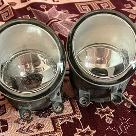 Karolla patfarnik