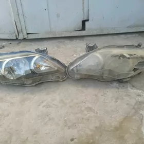 korolla onki farasy