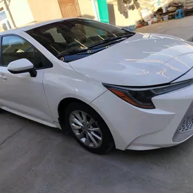 Toyota Corolla 2021