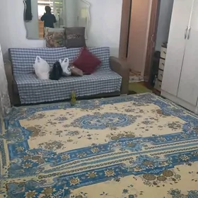 30 mkr Svaboda beyik patalok