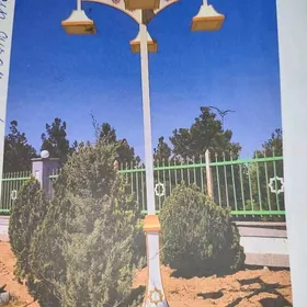 ussa demirci swarşik