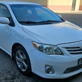 Toyota Corolla 2011