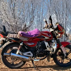 Fekon FK150-8G 2013
