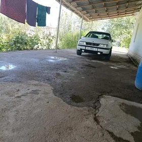Opel Vectra 1991