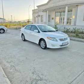 Toyota Corolla 2010