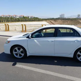 Toyota Corolla 2009