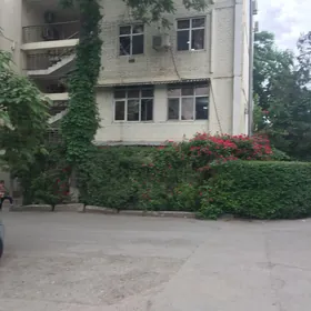 Alyšir Nowai