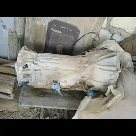 Pajera Koropga uly