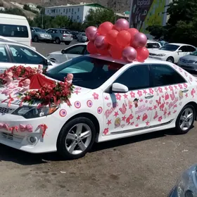 Toyota Camry 2013