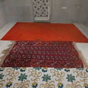 kwartyra