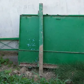 Rassisiki warata