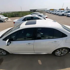 Toyota Corolla 2021