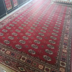 altyn jitim