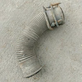 Gülşitel garmoşga Maz