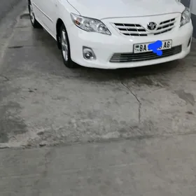 Toyota Corolla 2011