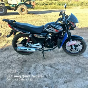 Fekon FK150-8G 2024