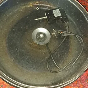 tokly saç