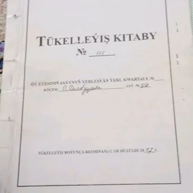 satlyk jay