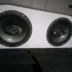 Pioneer kampanent
