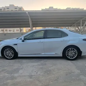Toyota Camry 2020