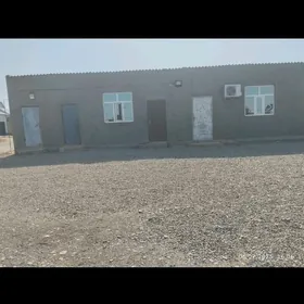 jaý satlyk Tejen