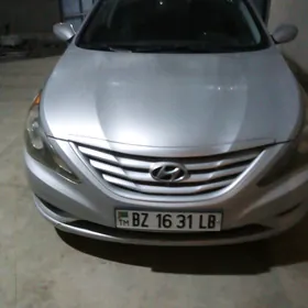 Hyundai Sonata 2010