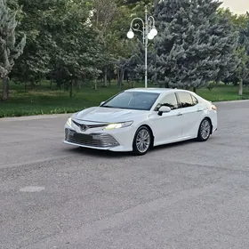 Toyota Camry 2019