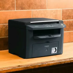 Canon printer 4010.