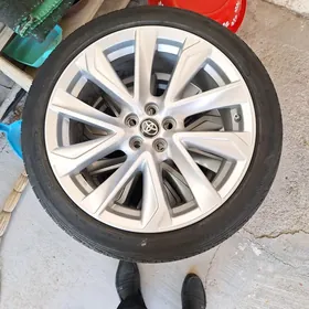 Corolla dickasy