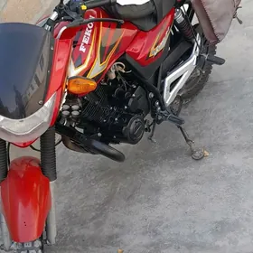 Fekon FK150-8G 2014