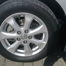 R16 okuz radnoy