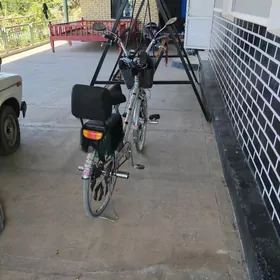 velik full