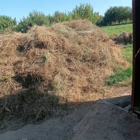 Ot Satlyk