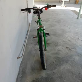 satlyk veliksatlyk velik