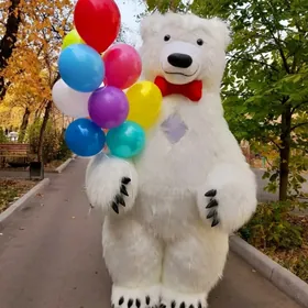 miska ak ayy