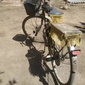 welsapet