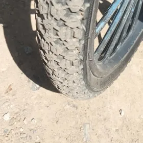 kama duga tigir