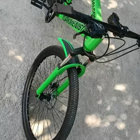 tigir