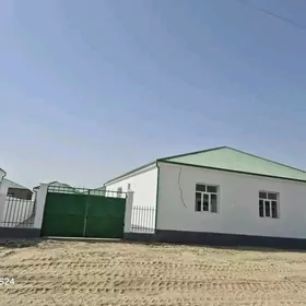 Gokdepe jay