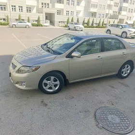 Toyota Corolla 2011