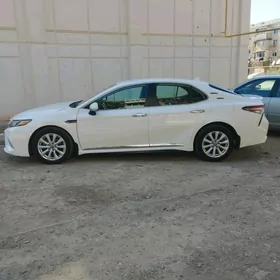 Toyota Camry 2020