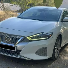 Nissan Maxima 2020
