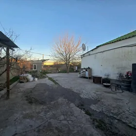 Gokje Bekrewe  Yalkym 14 sotyk