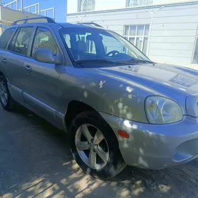 Hyundai Santa Fe 2004